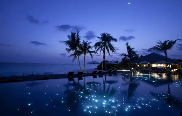 Картинка море, ночь, бассейн, Пальмы