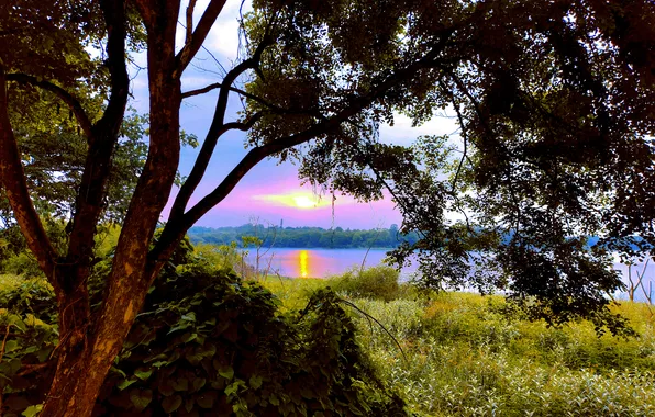 Sky, Sun, Water, Sunrise, Dawn, Morning, Lake, Trees