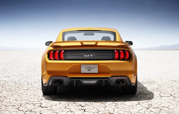 Car, Mustang, Ford, Ford Mustang, desert, yellow, horse, stallion