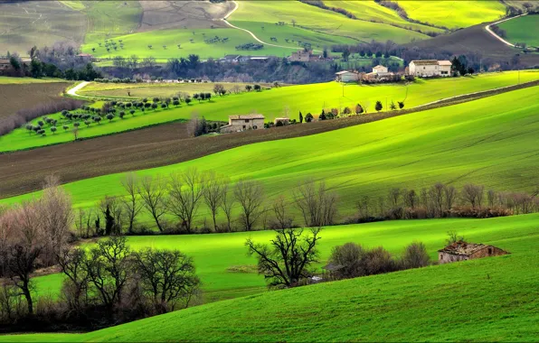 Картинка трава, деревья, дом, холмы, поля, Италия, Кампанья
