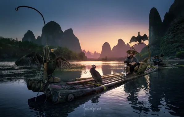 Картинка птицы, река, люди, лодка, лодки, Китай, рыбаки, плот