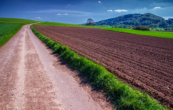 Картинка дорога, трава, природа, поля, grass, Nature, road, fields