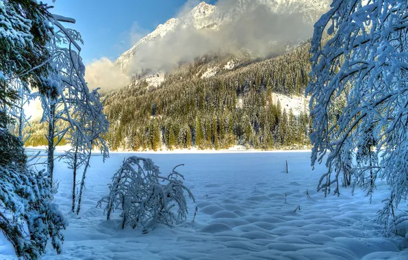 Картинка зима, облака, снег, деревья, холмы, солнечно, заснеженные