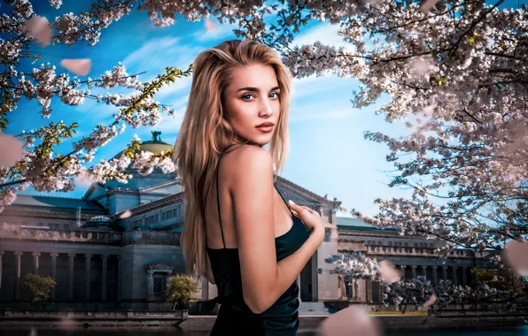 Картинка взгляд, девушка, волосы, блондинка, красотка, цветение