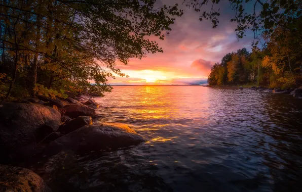 Картинка осень, лес, деревья, закат, озеро, Финляндия, Finland, Тампере