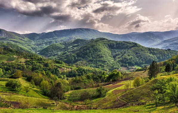 Зелень, лес, солнце, облака, деревья, горы, поля, Сербия