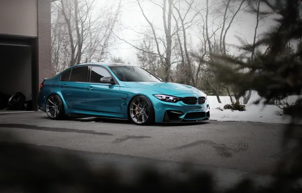 Картинка BMW, Blue, Predator, F80