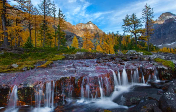 Картинка осень, лес, деревья, горы, река, камни, водопад, Canada