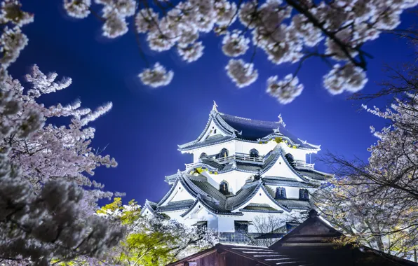 Картинка весна, Япония, сакура, Japan, Hikone Castle, Hikone, Замок Хиконэ, Хиконэ
