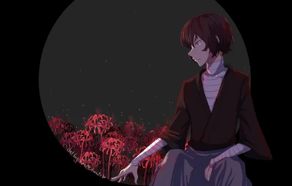 Bungou Stray Dogs, Дазай Осаму, Бродячие Псы Литературные Гении