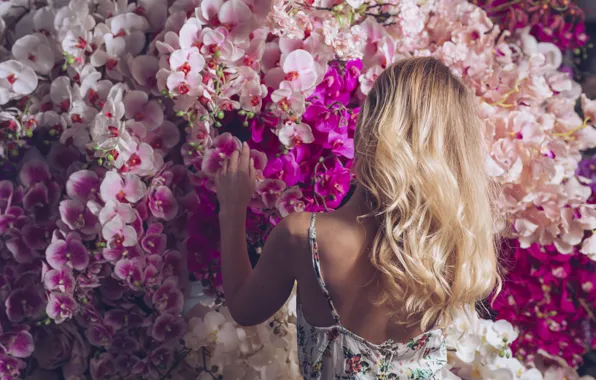 Картинка девушка, цветы, женщина, блондинка, girl, розовые, орхидеи, woman