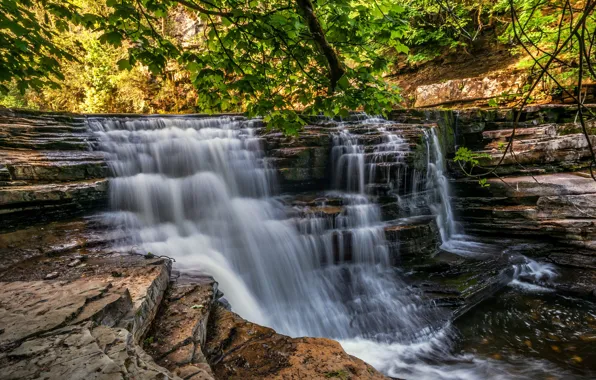 Лес, деревья, пейзаж, скалы, Англия, водопад, поток, Йоркшир