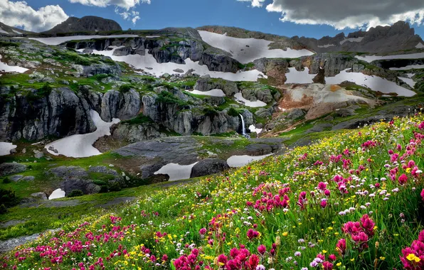 Картинка пейзаж, цветы, горы