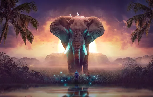 Картинка dream, digital art, elephant, mysterious, surreal landscape