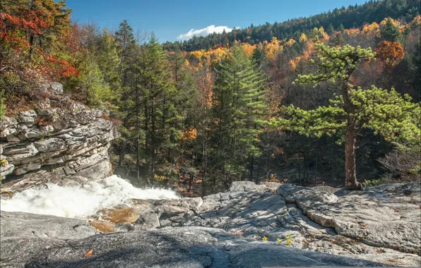 Картинка осень, лес, небо, горы, скалы