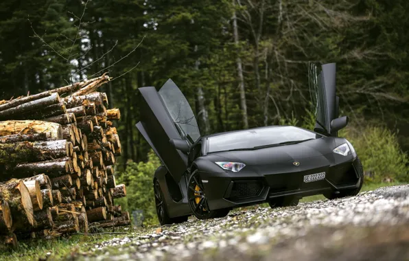 Картинка Lamborghini, Black, LP700-4, Aventador, Supercar, Forest, Trees