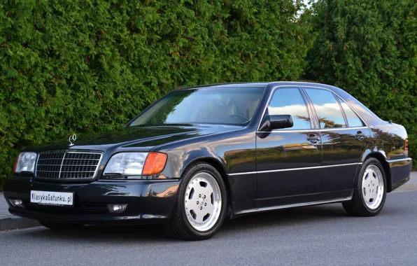 AMG, W140, Mercedes- Benz, 600SE