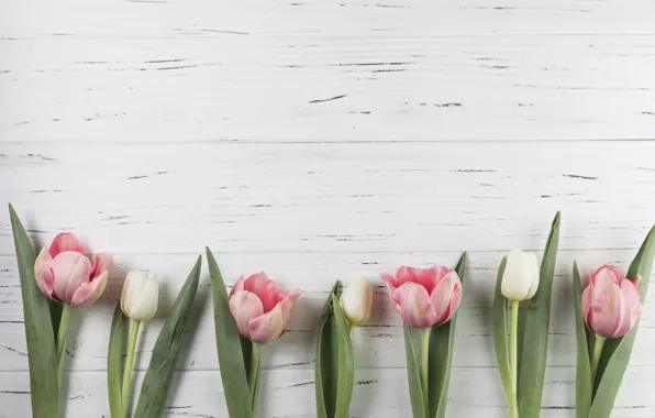 Цветы, тюльпаны, розовые, wood, pink, flowers, beautiful, tulips