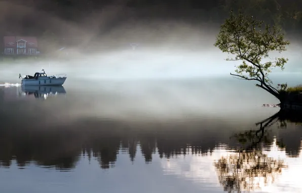 Картинка пейзаж, туман, озеро, дерево, лодка, утро