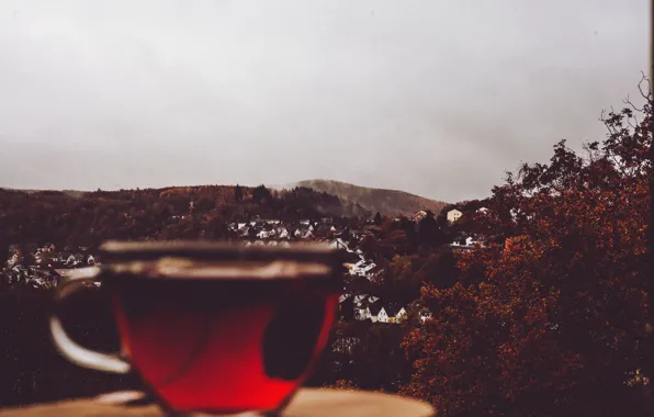 Картинка cup, village, tea, cloudy, rainy