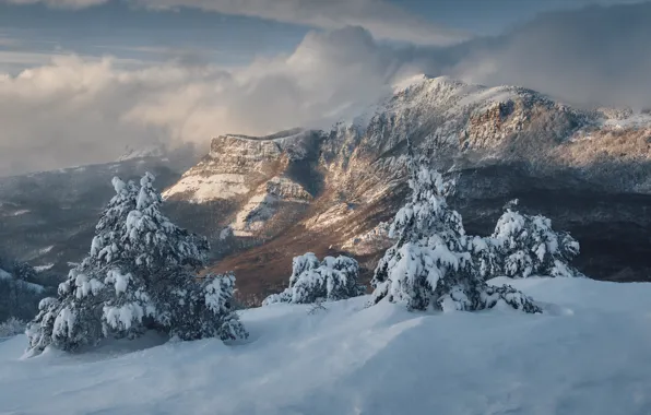 Картинка зима, облака, снег, деревья, пейзаж, горы, природа, долина