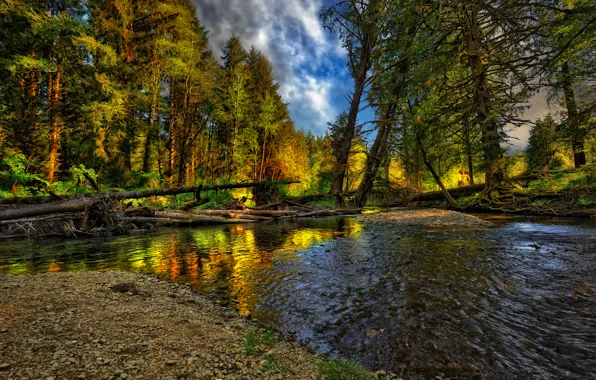 Осень, лес, пейзаж, природа, река, forest, river, landscape