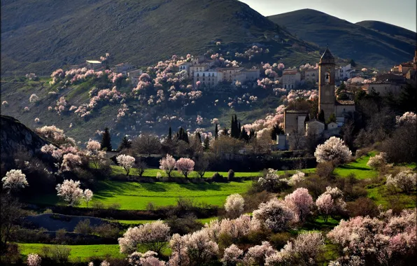 Деревья, горы, город, весна, цветение, Italia, Santo Stefano di Sessanio