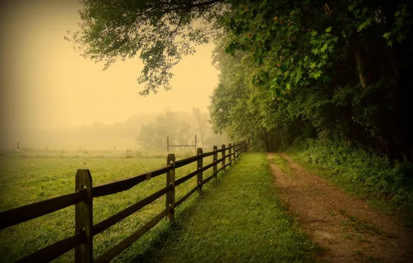 Дорога, деревья, природа, туман, забор, USA, США, Пенсильвания