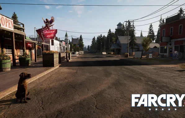 Картинка дорога, собака, Far Cry 5