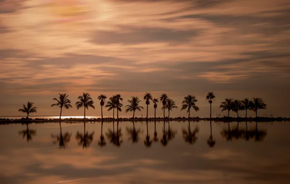 Закат, отражение, пальмы, океан, Майами, Флорида, Miami, Florida