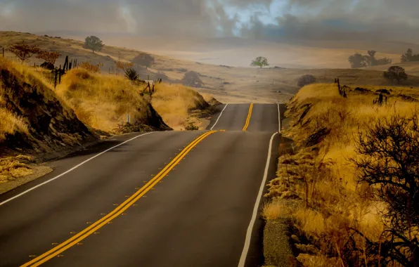 Nature, Grass, Road, Hills, Markup