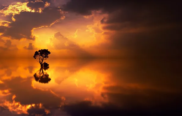 Картинка облака, озеро, отражение, дерево