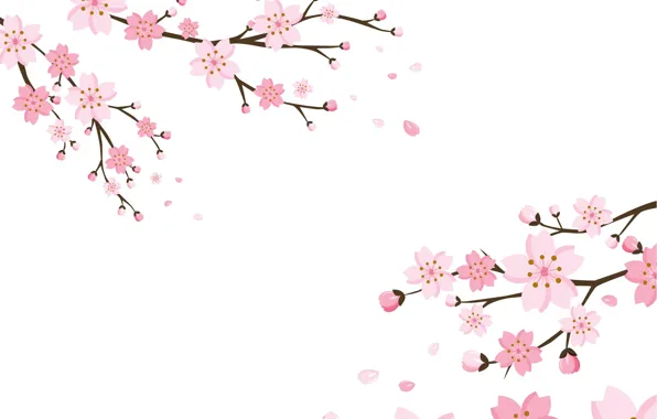Фон, обои, цветки, blossom, background, cherry, тексура