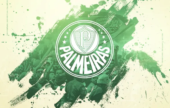 Wallpaper, sport, logo, football, Brazilian Serie A, Palmeiras