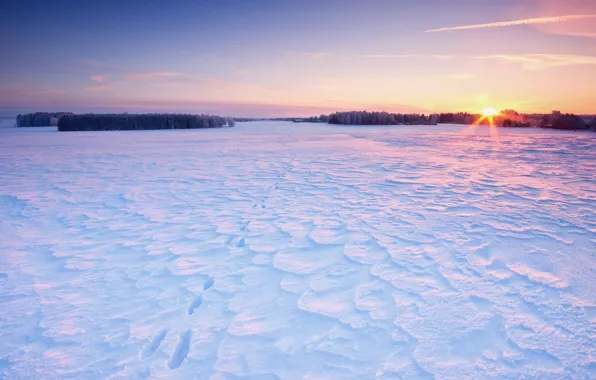 Картинка поле, небо, солнце, снег, деревья, следы, дома, Зима