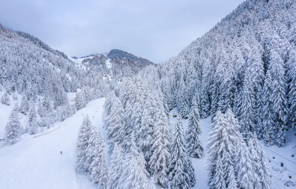 Зима, снег, деревья, пейзаж, горы, елки, forest, landscape