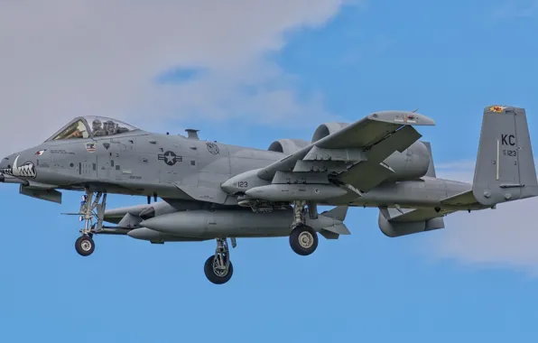 Авиация, A-10C Thunderbolt II, боевой самолёт, крылатая машина