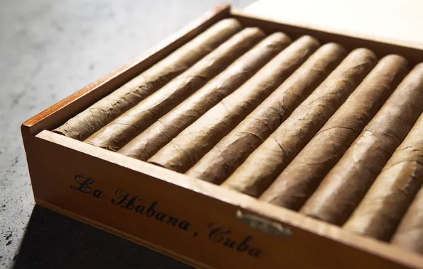 Коробка, сигары, box, 1920x1200, куба, табак, cigar, cuba