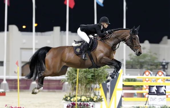 Картинка конь, спорт, лошадь, всадник, jumping, конный спорт, конкур, edwina tops-alexander