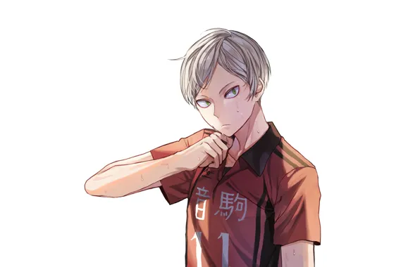 Парень, Волейбол, Haikyuu