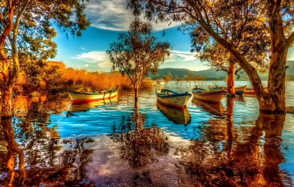 Trees, Mountain, lake, boats