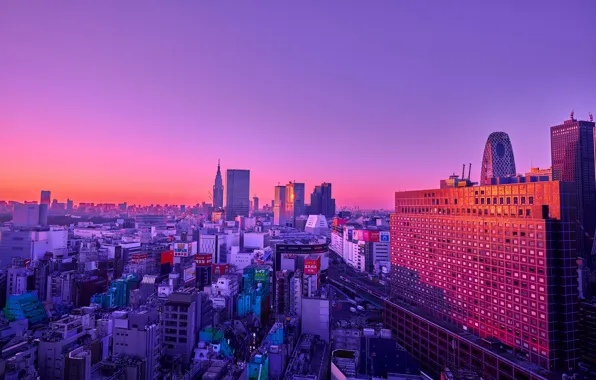 Картинка city, skyline, purple, building, colored