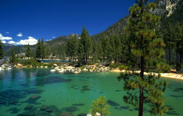 Картинка лес, озеро, камни, California, lake Tahoe