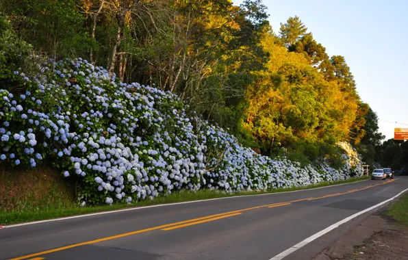 Nature, Landscapes, Brazil, South American, Rio Grande Do Sul