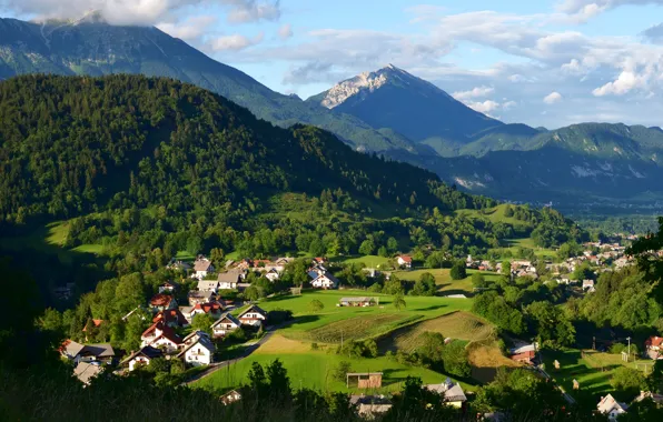 Картинка зелень, горы, поля, домики, леса, Словения, Zgornje Gorje