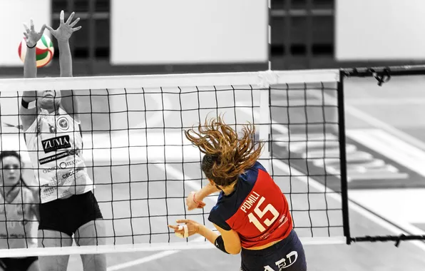 Woman, Sports, volleyball