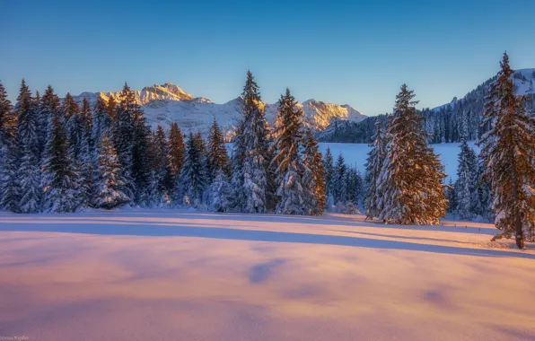 Картинка sunset, winter, mountain, snow, tree