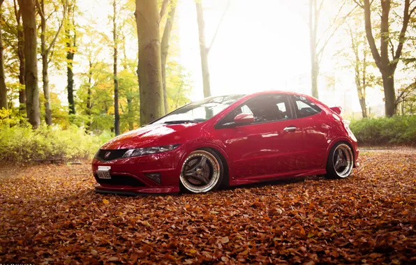 Картинка лес, red, Honda, красная, хонда, Civic, цивик, Stance