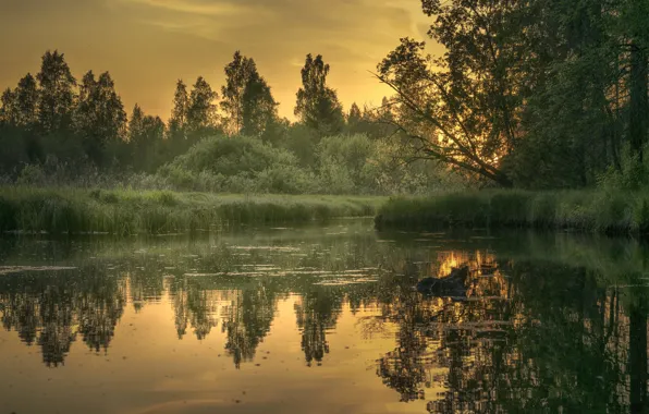 Картинка закат, природа, красота, вечер