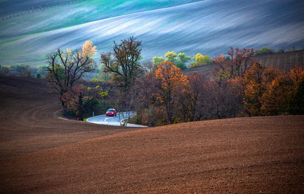 Картинка дорога, машина, осень, деревья, пейзаж, природа, автомобиль